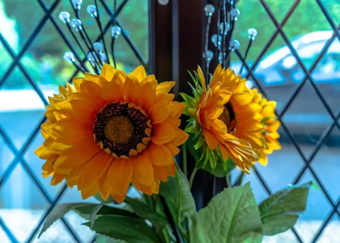 Cosy Pet Friendly House With Garden And Parking